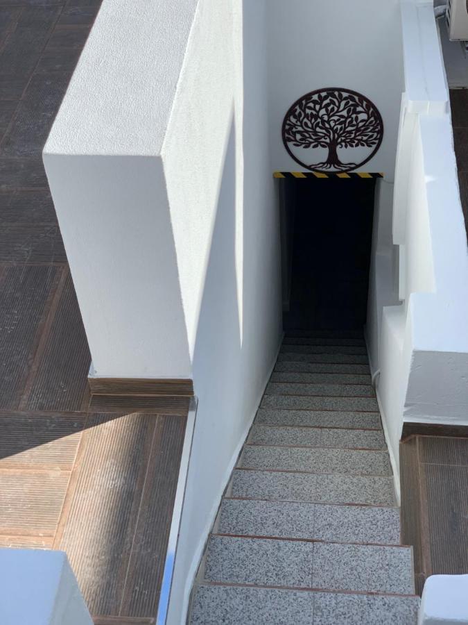 Casa Oliveira Olhao Villa Bagian luar foto